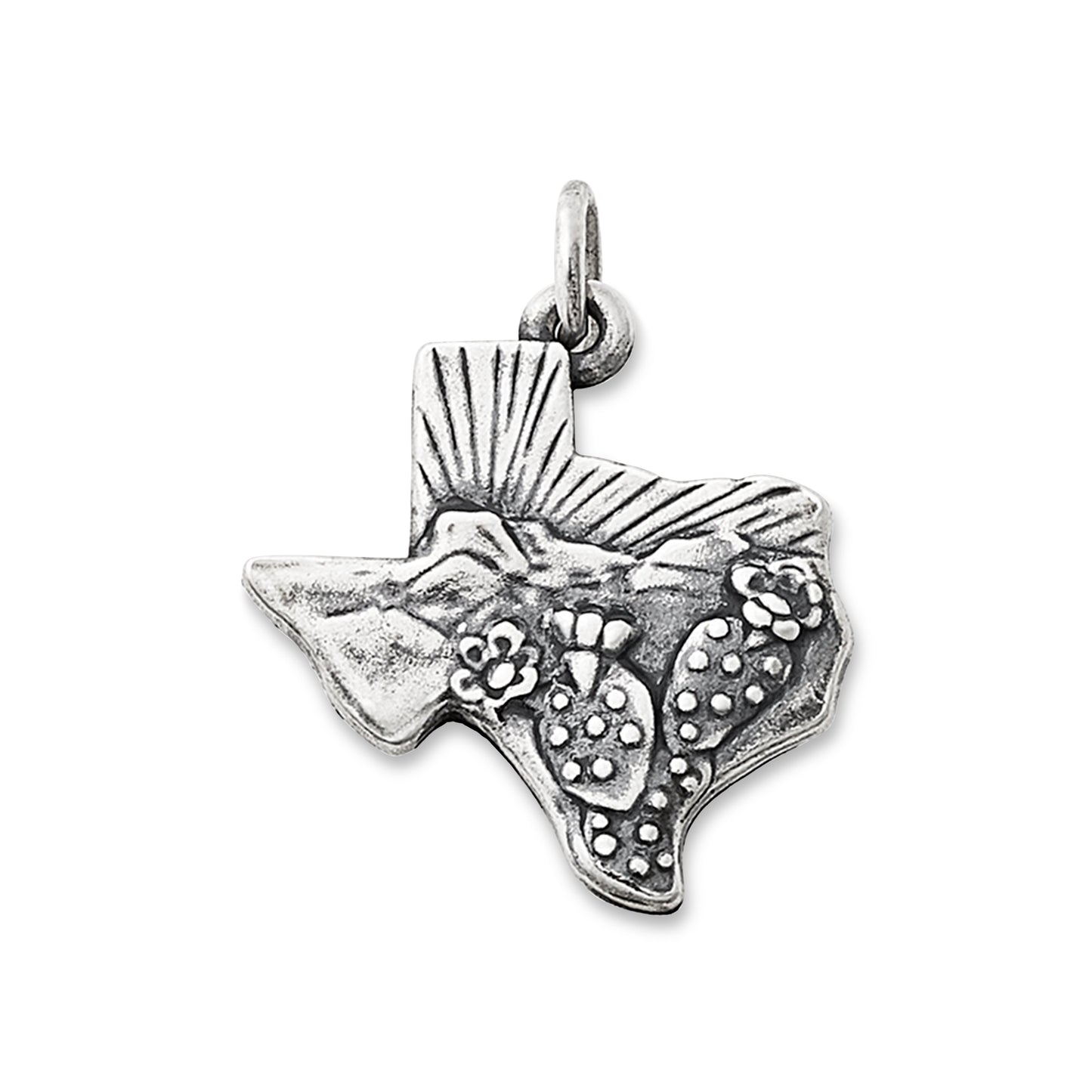 Consuela Texas Landscape Charm
 – Consuela