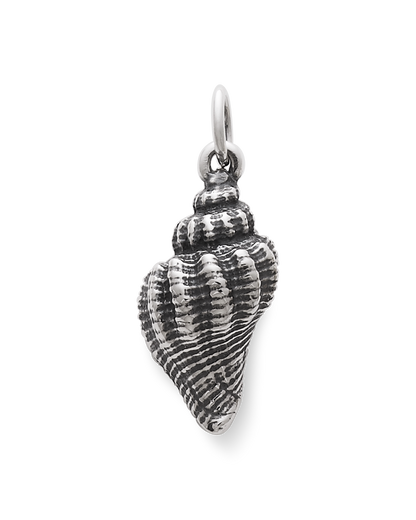 Consuela Fluted Conch Shell Charm
 – Consuela