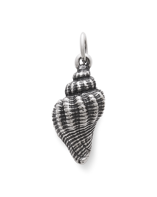Consuela Fluted Conch Shell Charm
 – Consuela