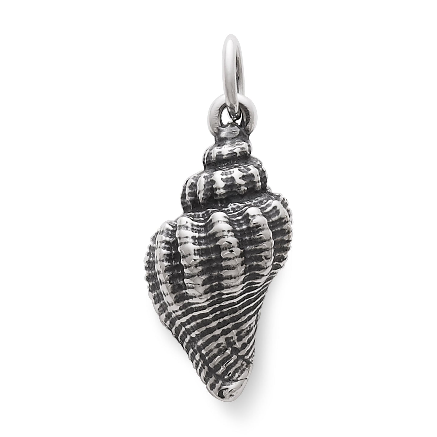 Consuela Fluted Conch Shell Charm
 – Consuela