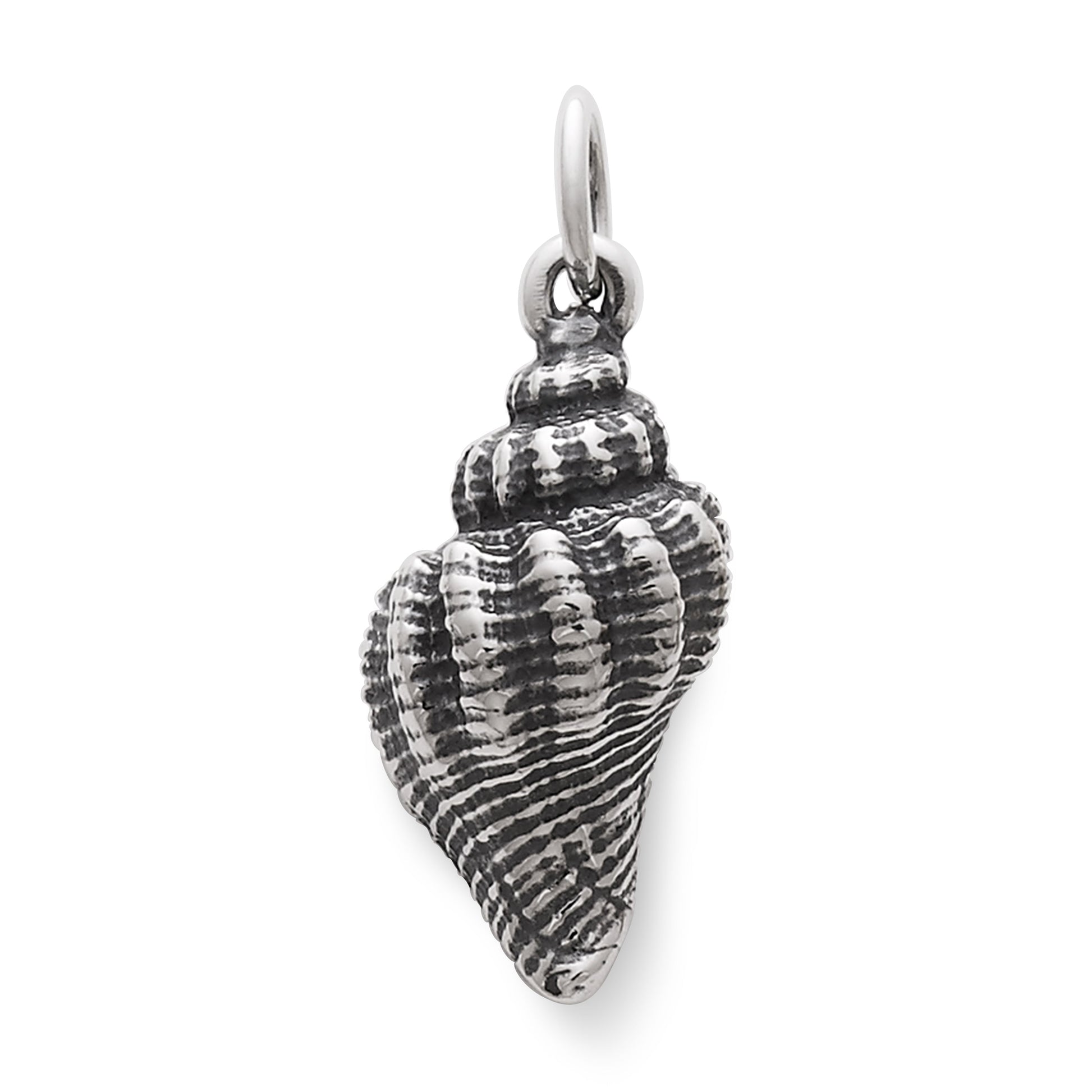 Consuela Fluted Conch Shell Charm
 – Consuela