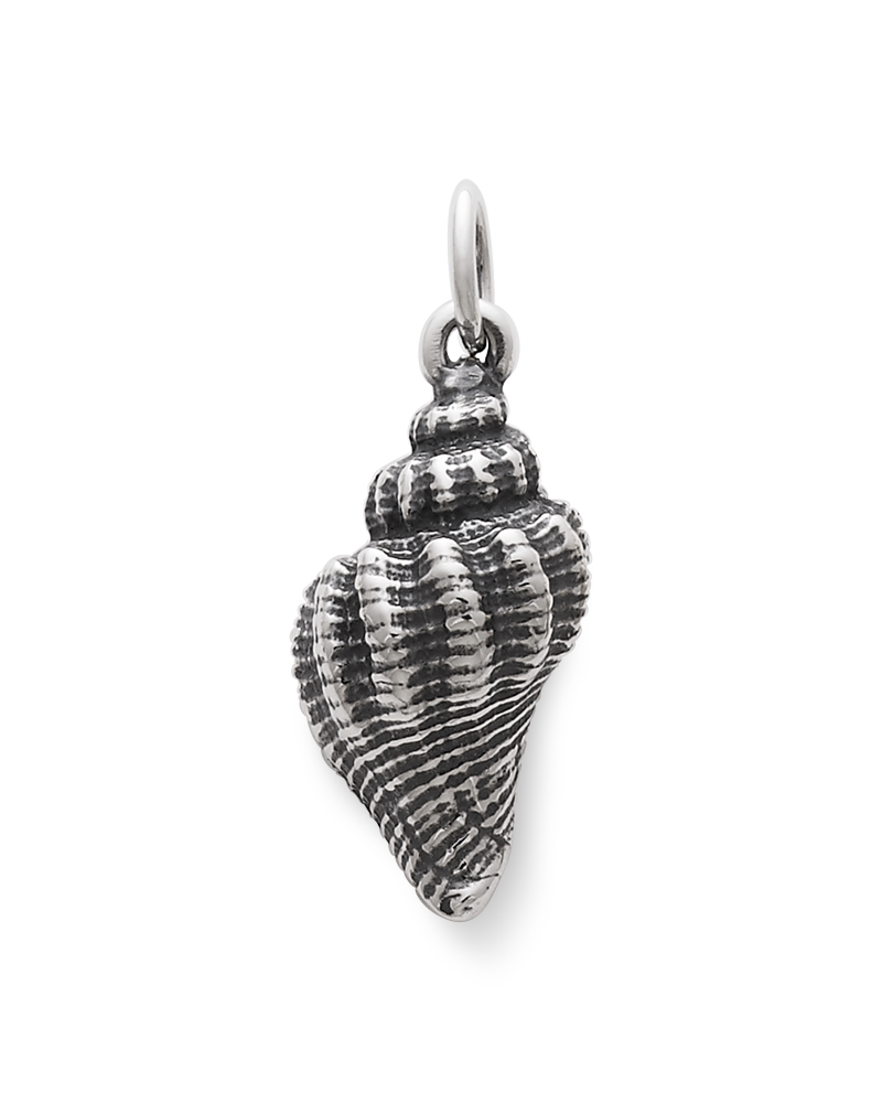 Consuela Fluted Conch Shell Charm
 – Consuela